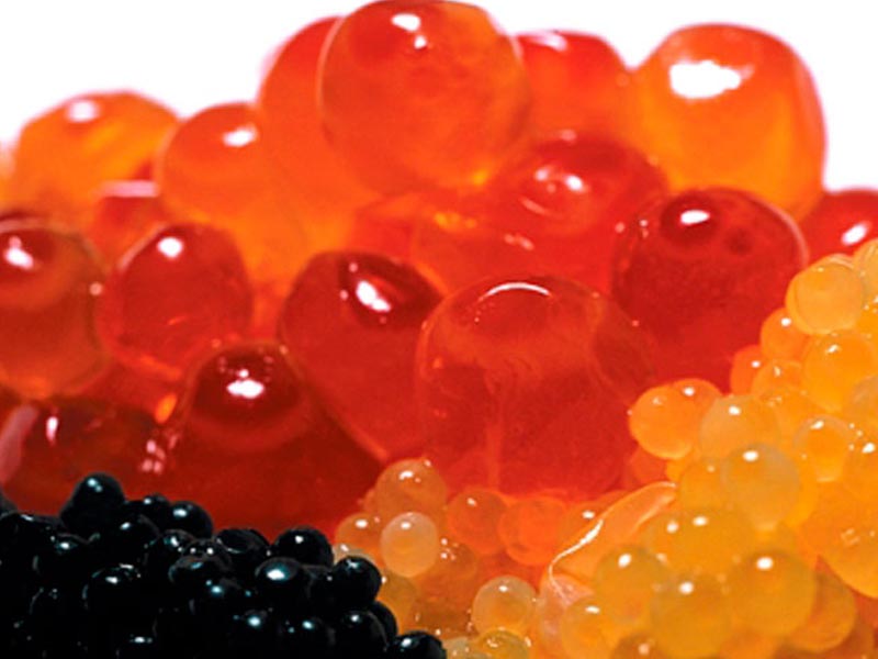 luxary extracts